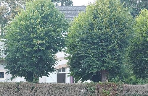 Theneuille Casa | La maison de Valentine