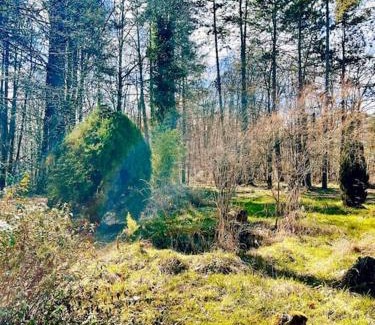 Montillot Casa | La maison des bois à 10 minutes de Vezelay