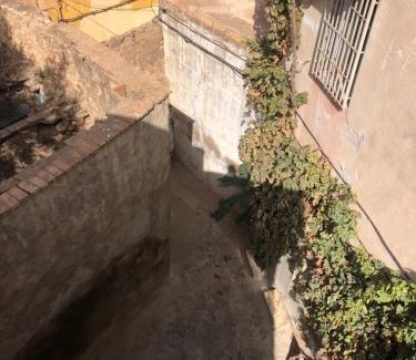 Tlemcen Casa | La maison des oiseaux