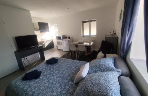 Firminy Cama Y Desayuno | La Maison du bonheur