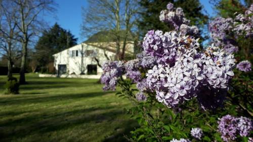 Galgon Apartamento | La Maison du Champ de Beaumont