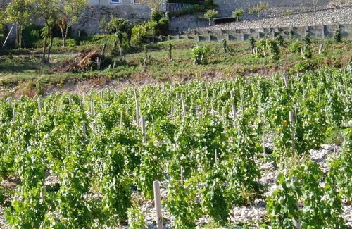 Sancerre Casa | La Maison du Guetteur