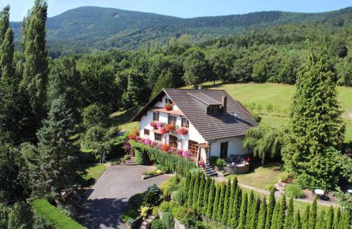 Dieffenbach-au-Val Casa | La Maison Fleurie