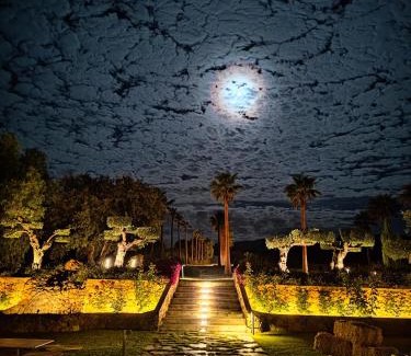 Ronda Casa | La Marabulla