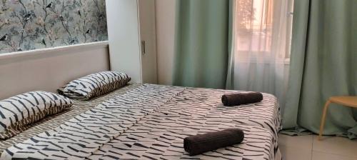 Centro de Alicante Casa | La Marina