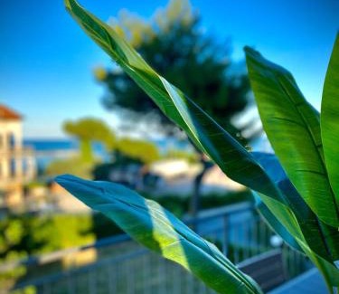 Massignano Apartamento | La Marinella
