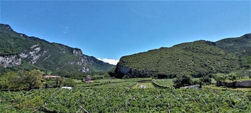 Nago-Torbole Apartamento | La Masera Holiday - Vigneto