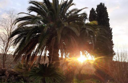 Senigallia Apartamento | La Meriggia Agriturismo- Alloggio Il Cipresso