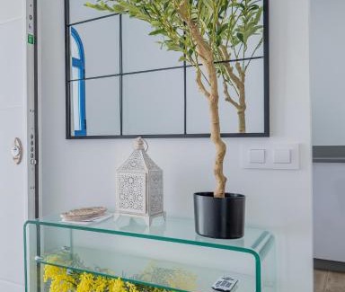 San Jose Casa | La Mimosa del Cabo