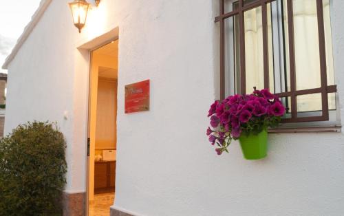 Roquetes Casa | La Miranda