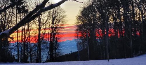 Provence Cama Y Desayuno | La Montagne devant