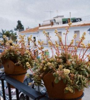 Frigiliana Apartamento | La morada de Rosafina