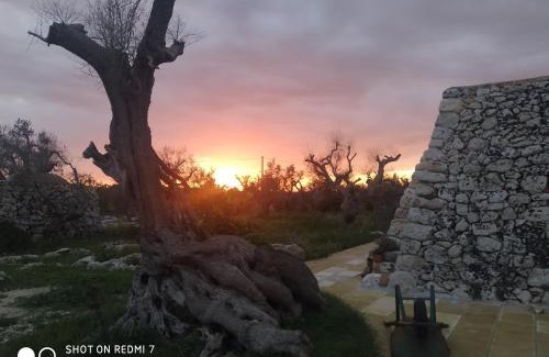 Corigliano D'Otranto Apartamento | La Nicchia-Trullo