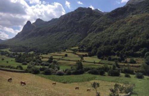 Somiedo Apartamento | La Osera del Coto