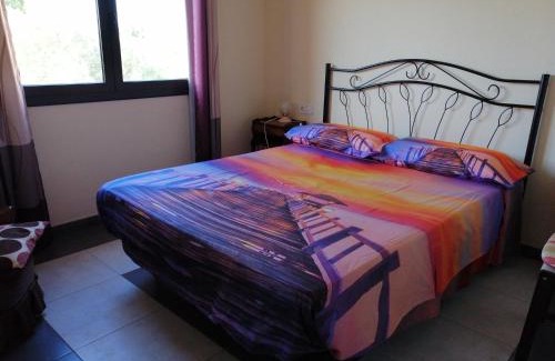 Torroella de Montgri Apartamento | La Pallissa 9