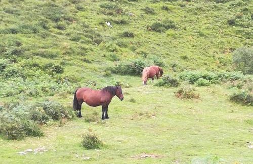 San Roque de Riomiera Casa | La Pasiega