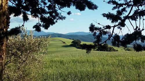 San Macario In Monte Apartamento | La Pecora Verde