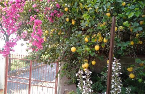 Torre Colonna-sperone Apartamento | La Pergola sul mare
