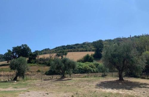 Campofilone Apartamento | La Perpetua