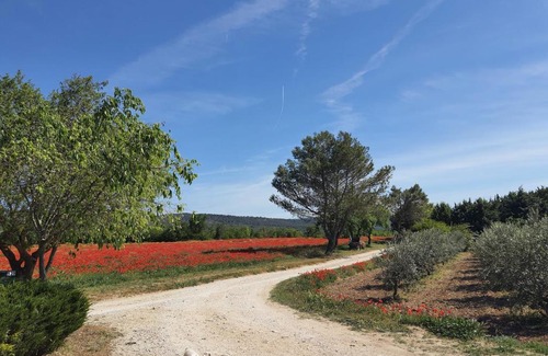 Gordes Casa | La petite Galéjade