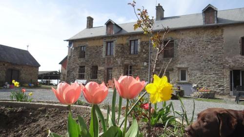 Villiers-Fossard Casa | La Petite Houssaye Gite