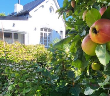 Rosendael Casa | La petite maison blanche