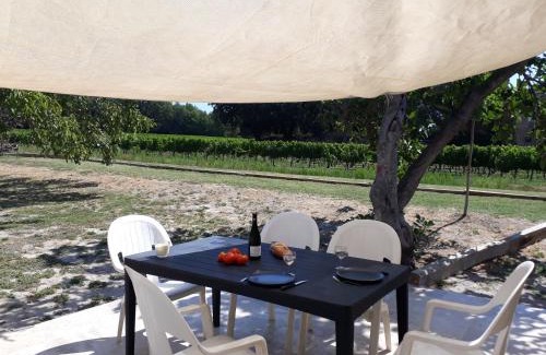 Chamaret Casa | La Petite Maison Dans Les Vignes