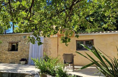 Faucon Casa | La petite Pinede