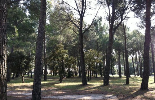 Saumane-de-Vaucluse Apartamento | La pinede du Golf