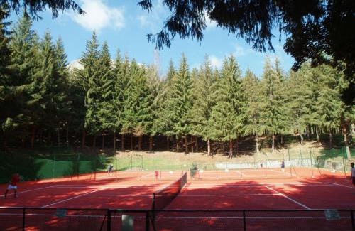 San Massimo Cama Y Desayuno | La Pinetina