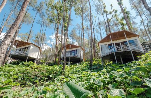 Kintamani Cabina | La Pino Batur