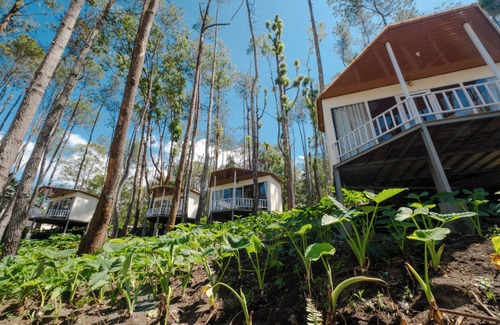 Kintamani Cabina | La Pino Batur