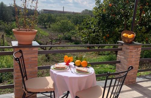 Trappitello Cama Y Desayuno | La Pomelia B&b Sofia