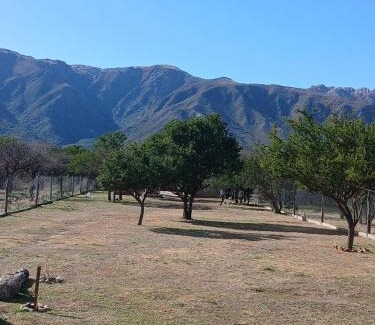 Cortaderas Chalet De Esquí | La Porteña