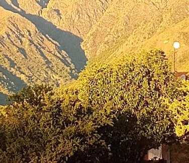 Cortaderas Chalet De Esquí | La Porteña