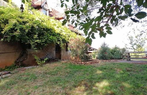 Reyrevignes Casa | La quercynoise