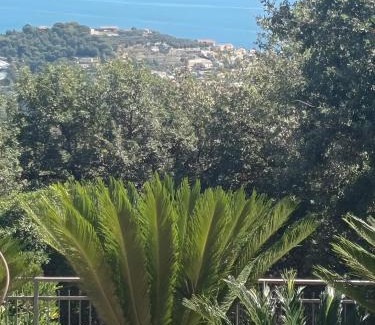 Cipressa Apartamento | La Quiete nel Bosco