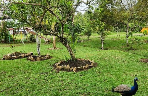 San Isidro Cama Y Desayuno | La Quinta de Andrés