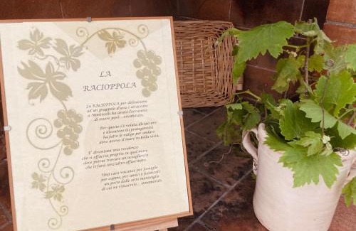 Ostuni Casa | La Racioppola