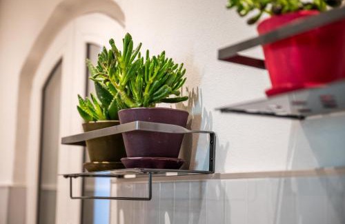 Cuneo Apartamento | La Regia Apartment