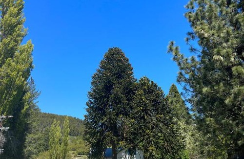 La Bolsa Casa | La Rinconada Ranch