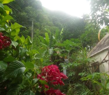 Saint-Louis Casa | La rose des Bois