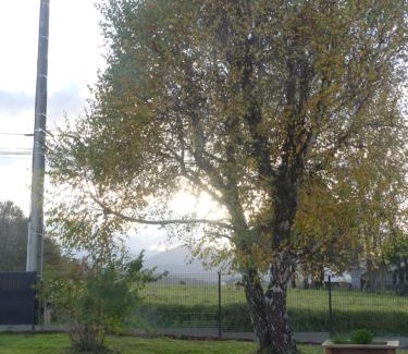 Loucrup Casa | La Roseraie