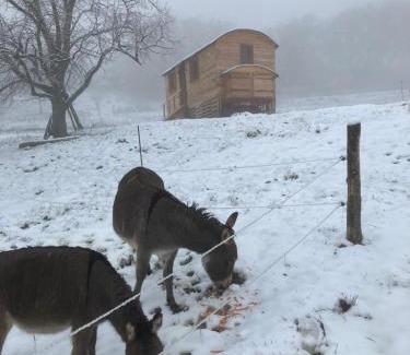 Entrepierres Otro | La roulotte de la croix