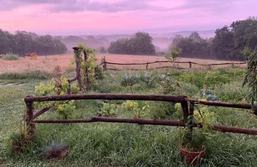 Dumes Casa | La Roulotte du Château de Framboise