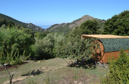 Cauro Chalet De Esquí | LA ROULOTTE VITICOLE