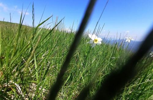 Nesso Apartamento | La Ruota del Mulino