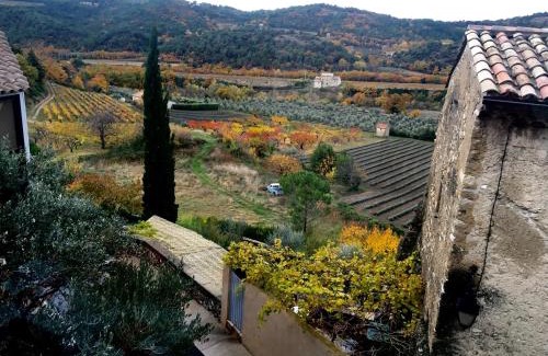 Venterol Casa | La salamandre