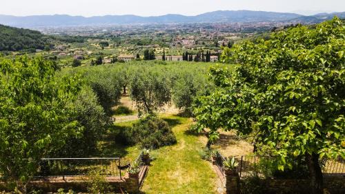 Pistoia Apartamento | "La Salvia" - Villa Pacinotti