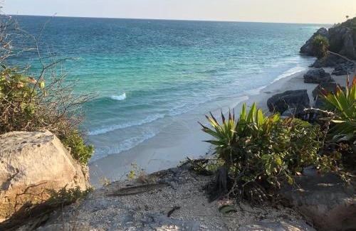 Akumal Apartamento | La Selva Penthouse Gated Community
